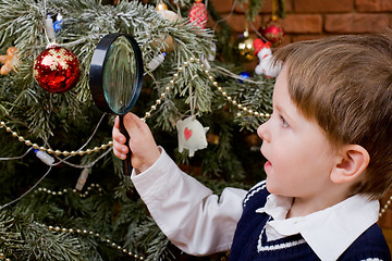 Image showing Exploring Christmas tree