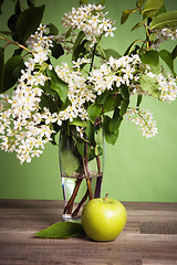 Image showing Bouquet of a blossoming bird cherry in a vase on a table