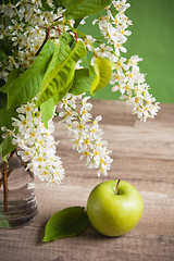 Image showing Bouquet of a blossoming bird cherry in a vase on a table