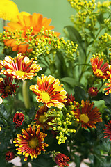 Image showing a bouquet of summer flowers, close-up