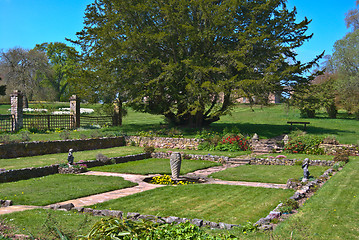 Image showing Bemersyde Garden