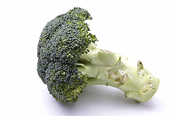 Image showing Fresh Broccoli 