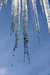 Image showing Icicles