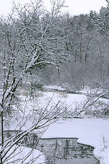 Image showing Snowy River
