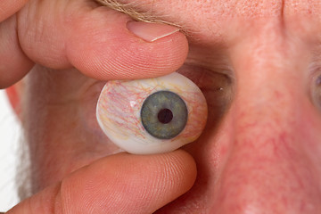 Image showing Glass eye