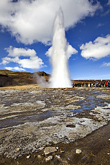 Image showing Icelandic Geyser