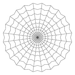 Image showing cobweb