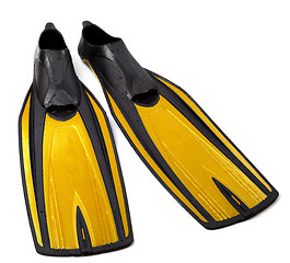 Image showing Swim fins on white background