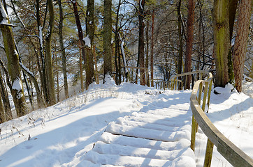 Image showing Wooden snowy oak staircase with handrail on steep hill in winter 