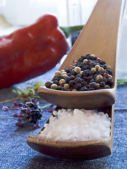 Image showing salt and pepper