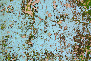 Image showing The old cracked paint