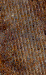Image showing rusty surface