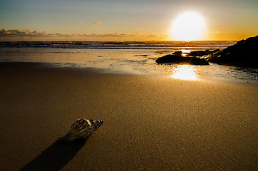 Image showing Sunset on the beach