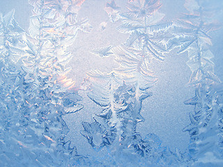 Image showing ice pattern