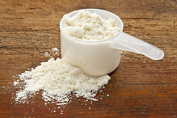 Image showing white powder of whey protein