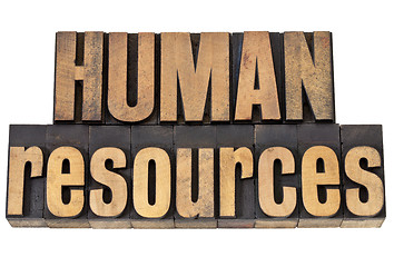 Image showing human resources in wood type