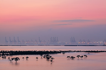 Image showing container cranes on a foggy morning