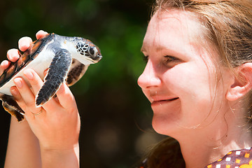 Image showing Baby sea turtle