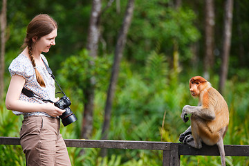 Image showing Female photographer and proboscis monkey