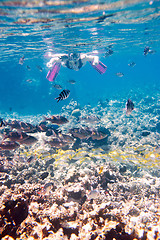 Image showing Woman snorkeling