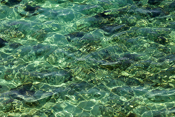 Image showing Water background