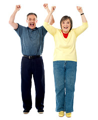Image showing Excited senior couple. Arms raised