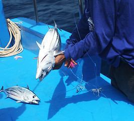 Image showing Catching fish