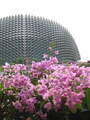 Image showing Esplanade Aka Durian @ Singapore