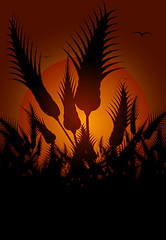 Image showing Flowers silhouetted at sunset