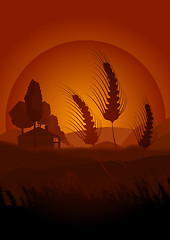 Image showing Summertime farming concept