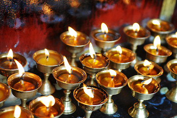 Image showing Yak butter lamps