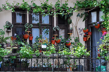 Image showing Balcony Garden