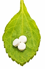 Image showing Stevia rebaudiana, support for sugar,tablets