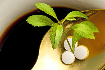 Image showing Stevia rebaudiana, support for sugar,tablets