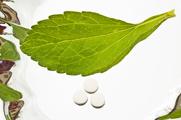 Image showing Stevia rebaudiana, support for sugar,tablets