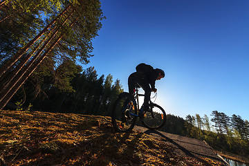 Image showing Biker Riding in Forest