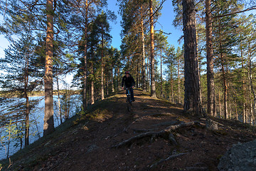 Image showing Biker Riding in Forest