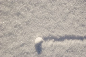 Image showing Snowball. 