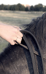 Image showing hands close up