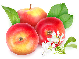 Image showing Red apples with green leaf and flowers