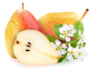 Image showing Pears with green leaf and flowers