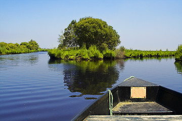 Image showing swamp