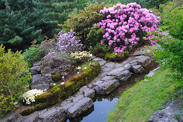 Image showing Oslo Botanical Garden