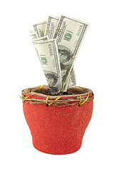 Image showing Money tree