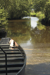 Image showing old boat in a swamp