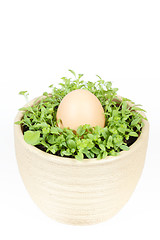 Image showing Spring vegetable with easter egg in ceramic pot