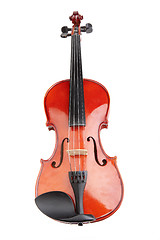 Image showing Violin on white background