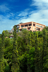 Image showing house in the rainforest