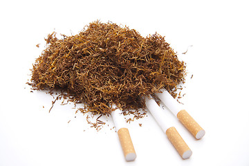 Image showing Tobacco with cigaret