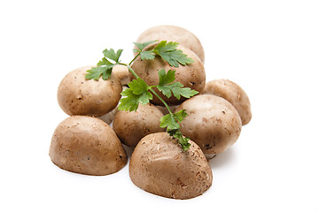 Image showing Brown champignons with parsley